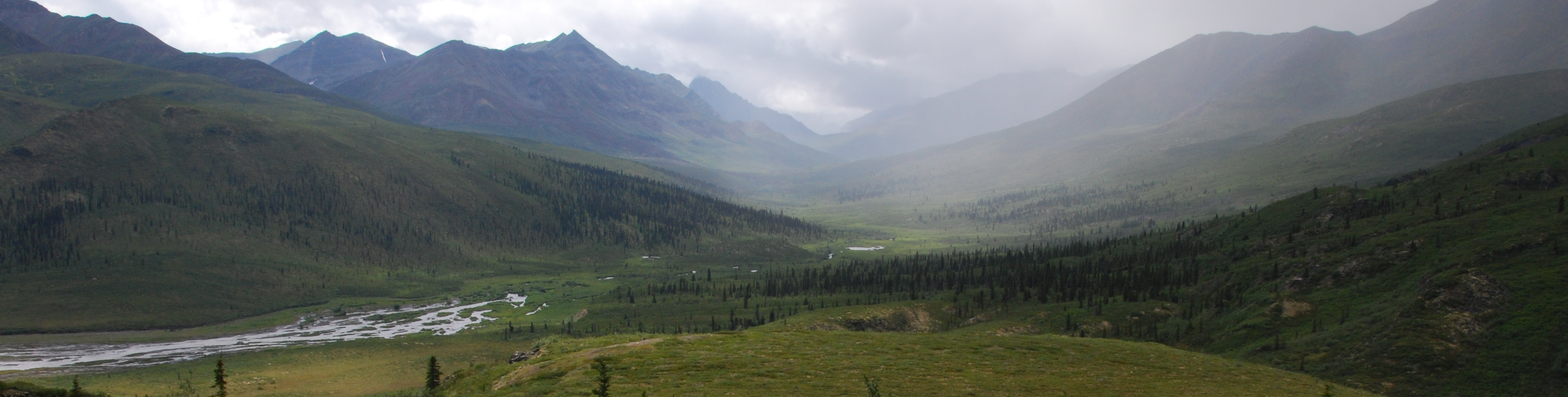 tombstone summer - river only no fireweed